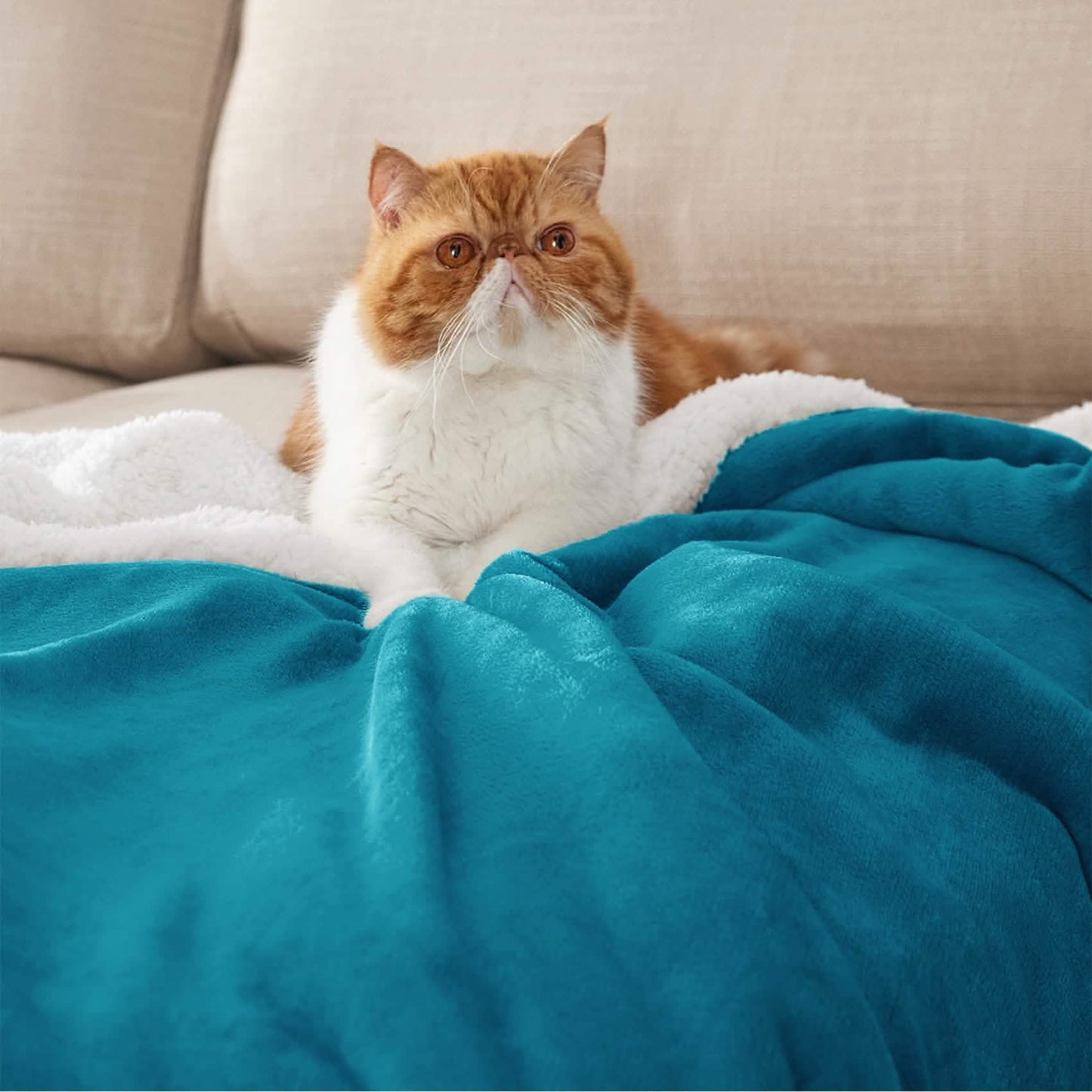 Sherpa Fleece Blanket
