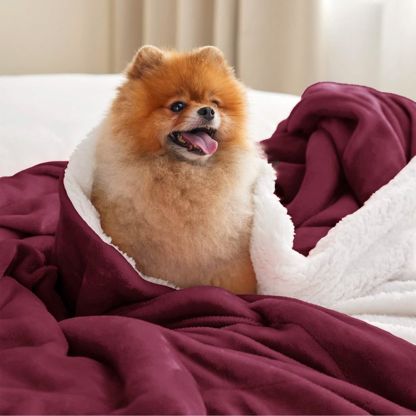 Sherpa Fleece Blanket