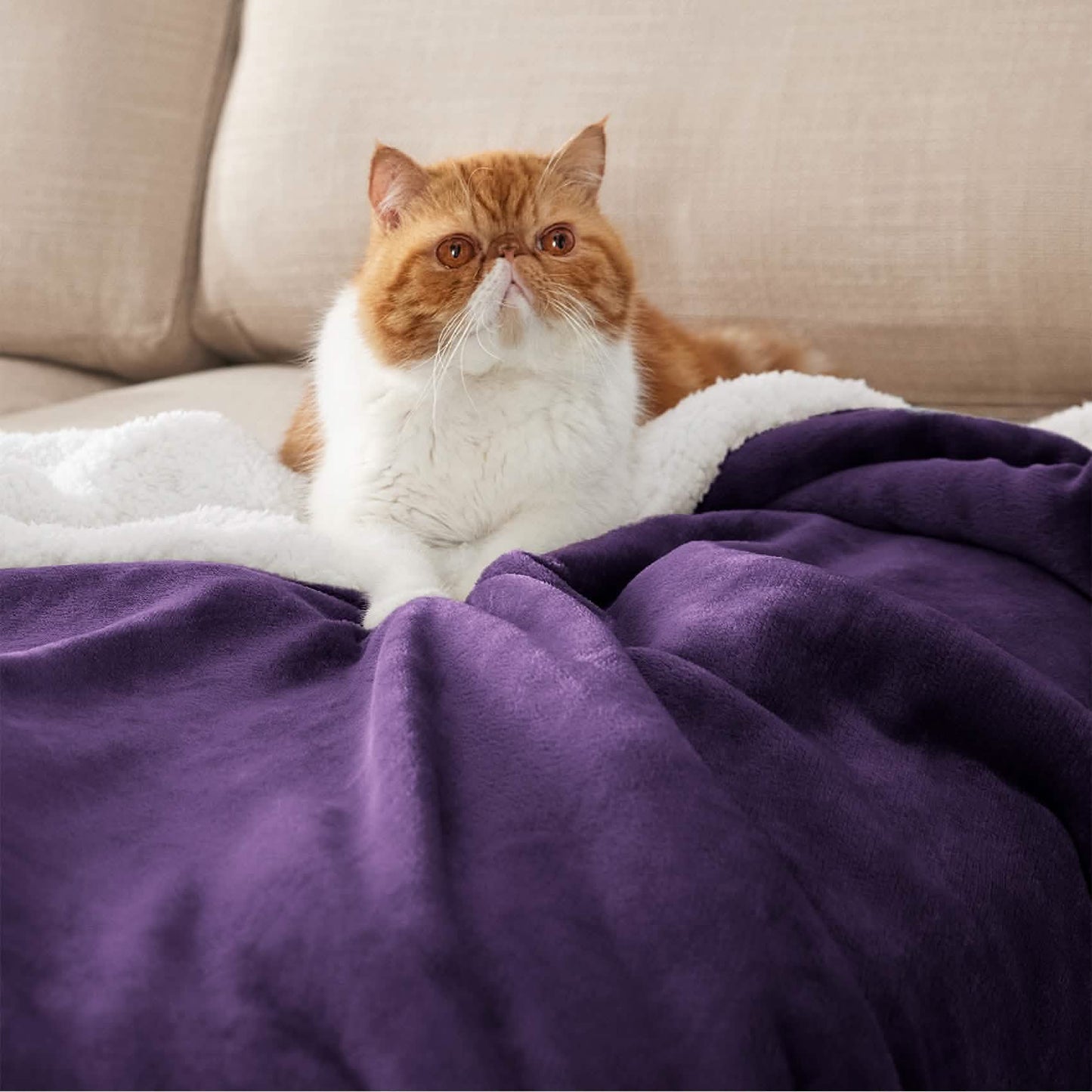 Sherpa Fleece Blanket