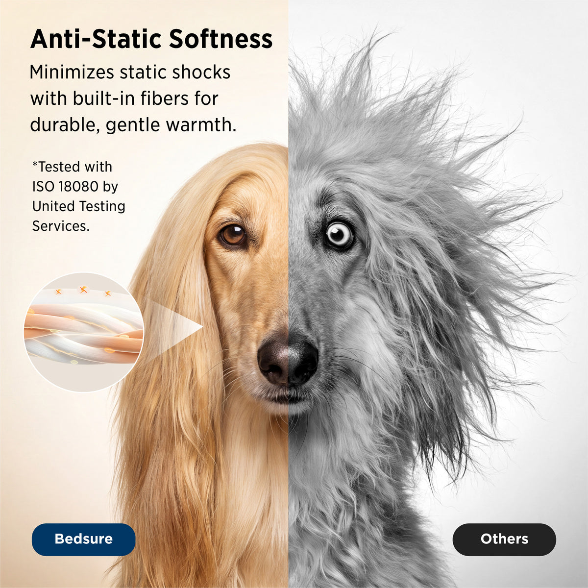 Shed-Resistant & Anti-Static Blanket