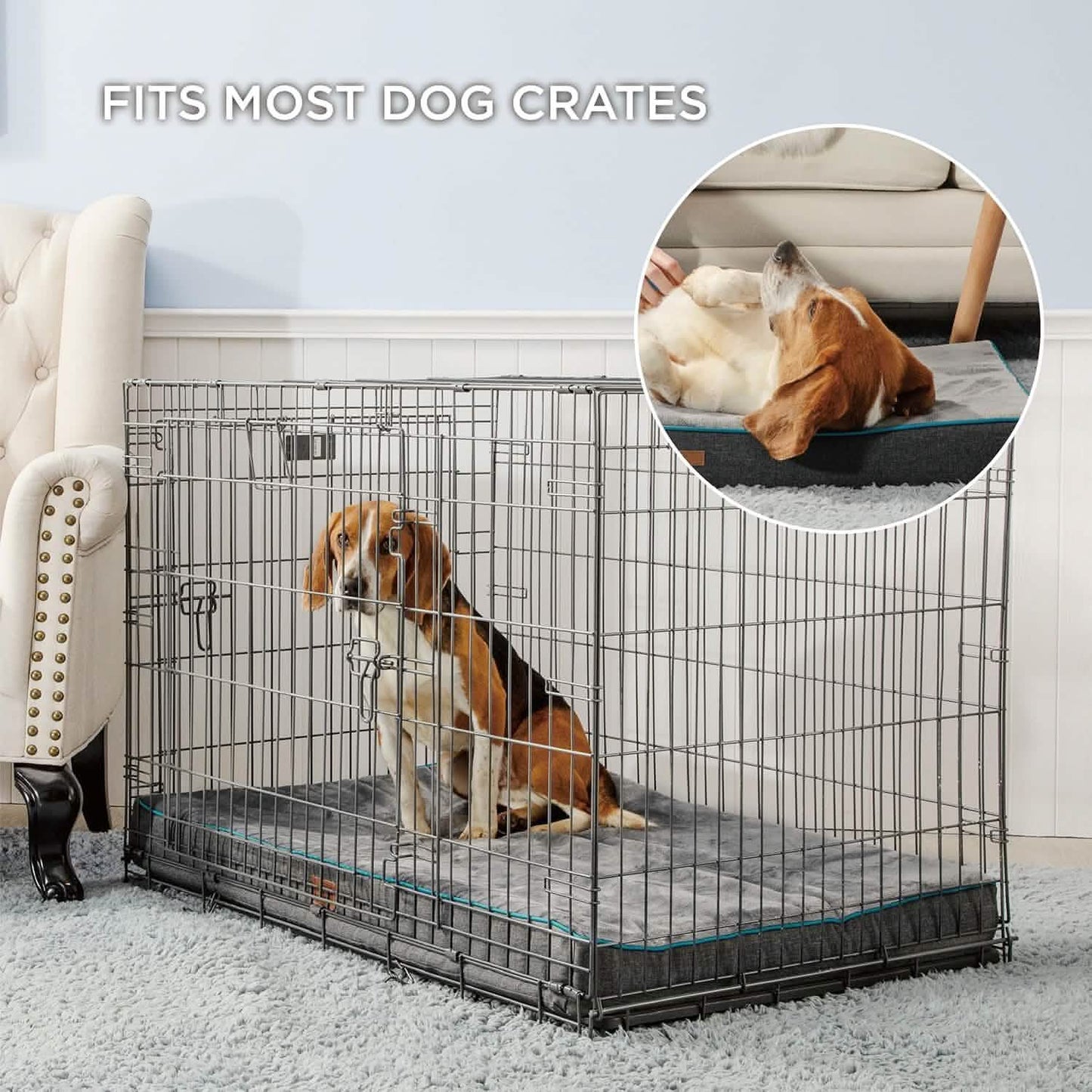 Orthopedic Memory Foam Dog Bed