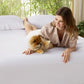 GentleSoft® Bamboo Fitted Sheet