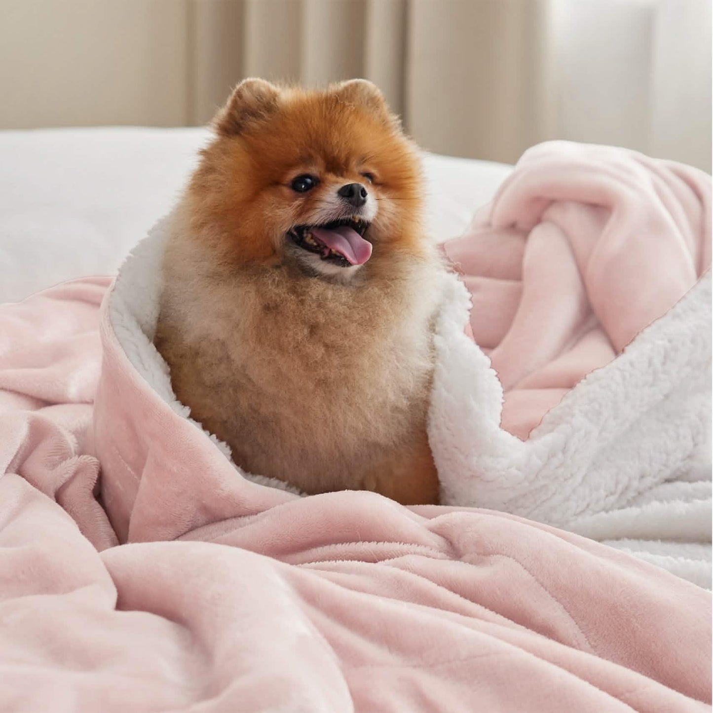Sherpa Fleece Blanket