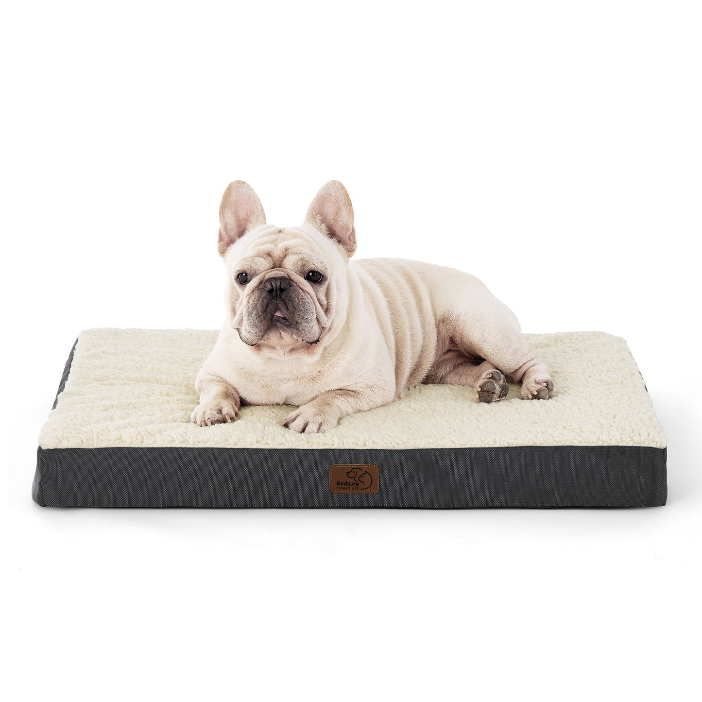 Large Orthopedic Washable Dog Bed