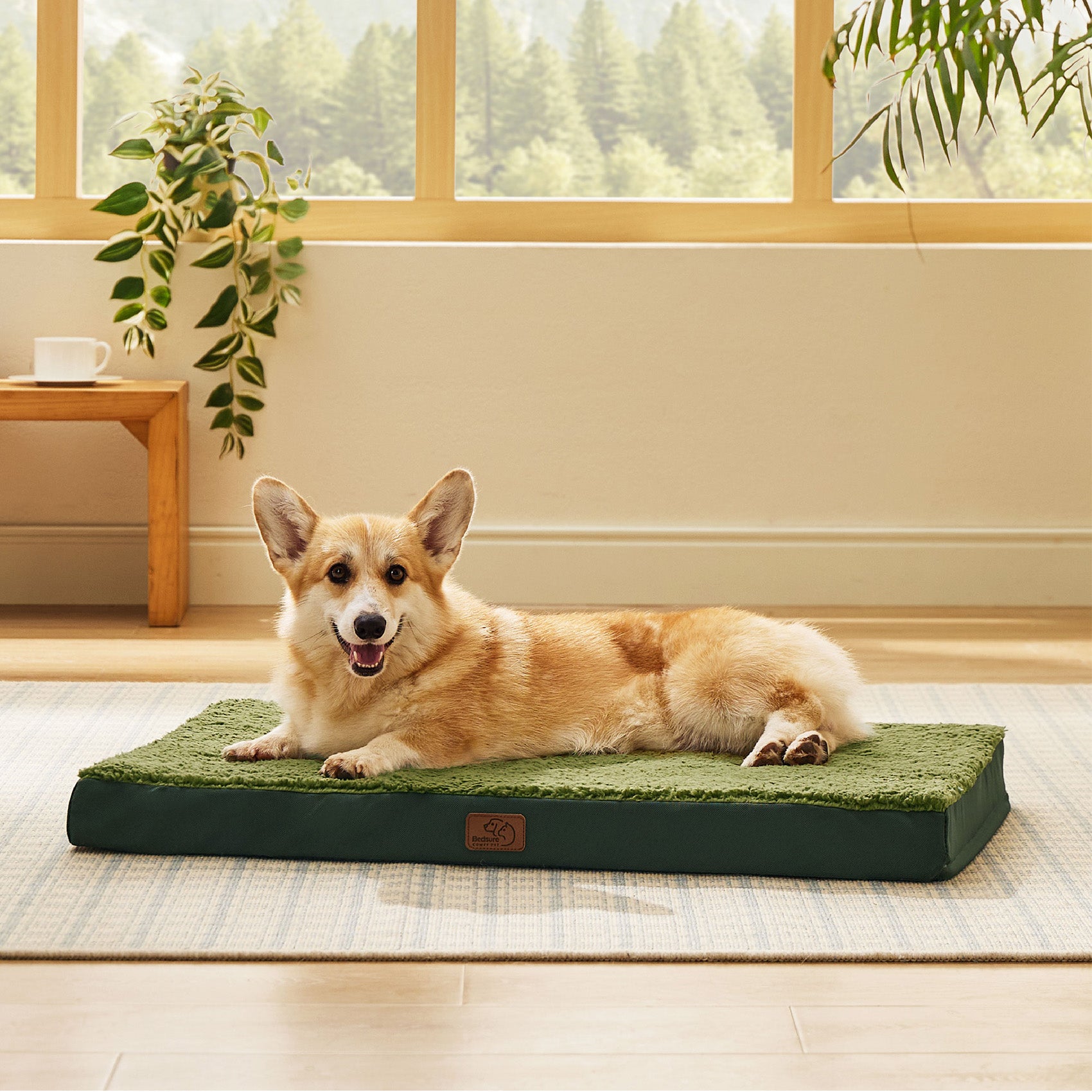Large Orthopedic Washable Dog Bed
