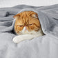 GentleSoft™ Flannel Fleece Blanket 280gsm