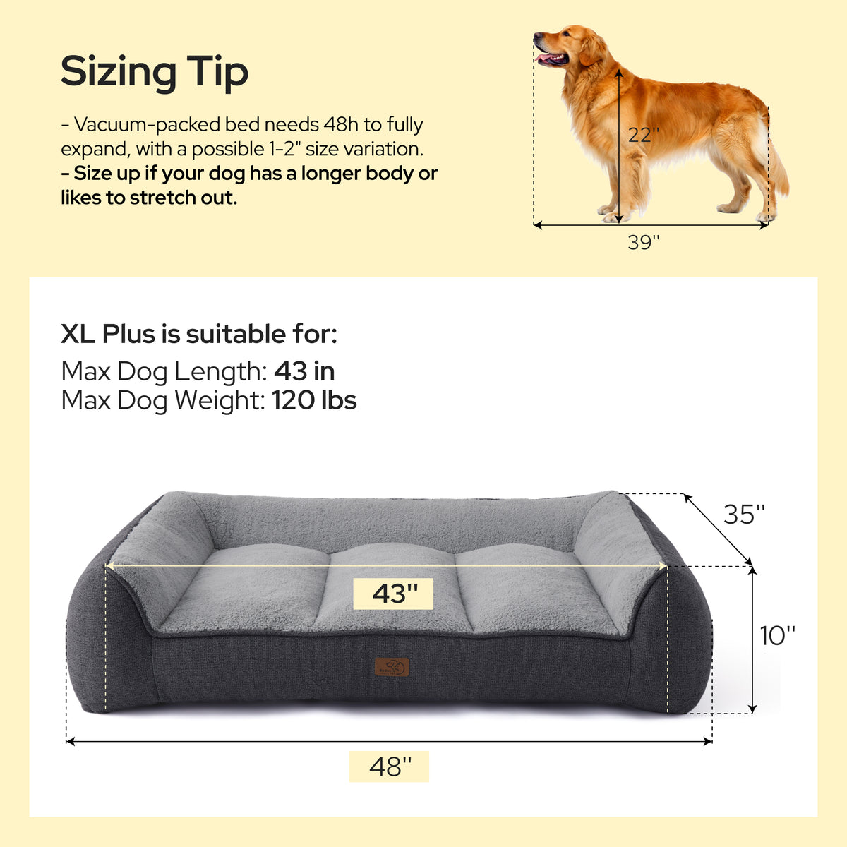 Supportive Dog Couch