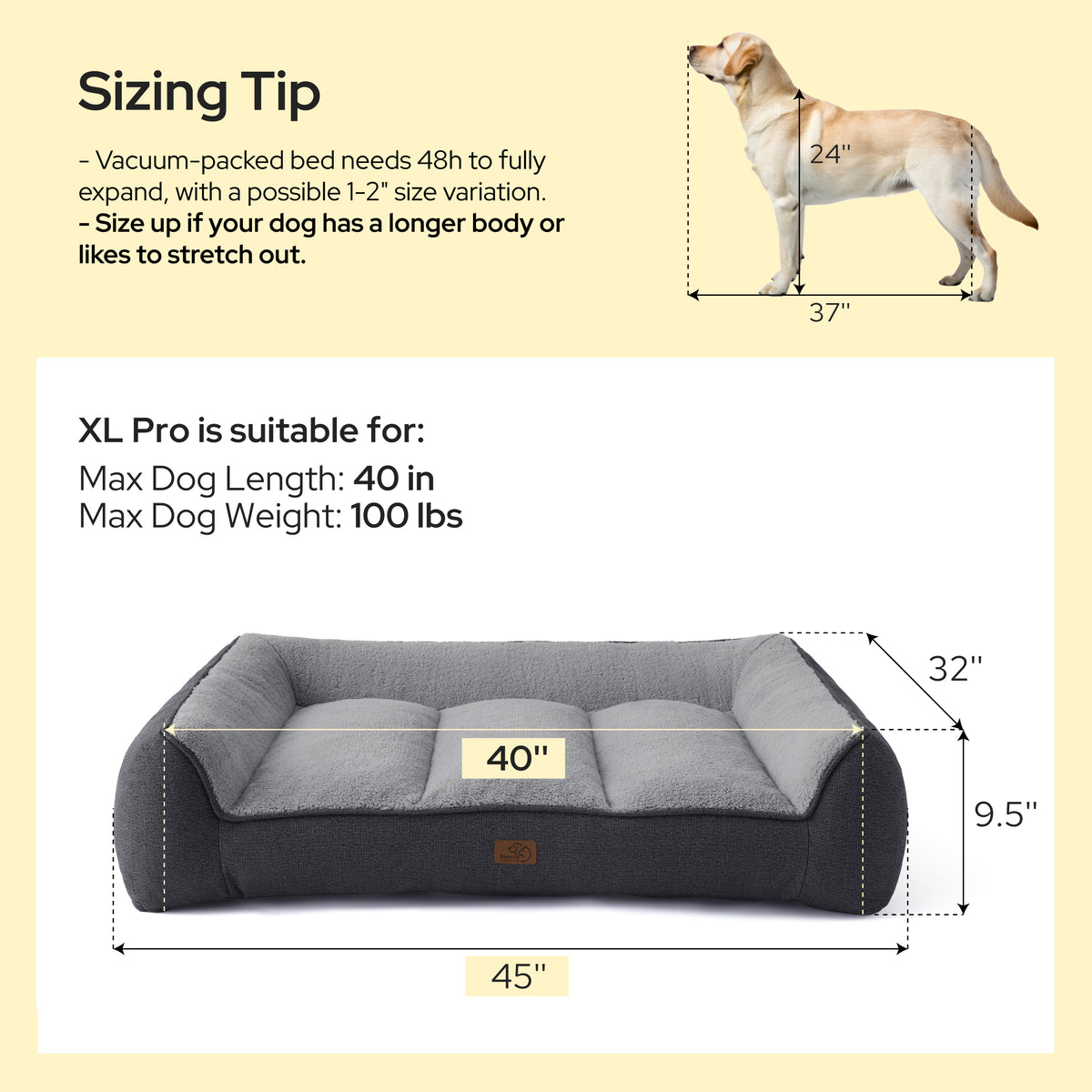 Supportive Dog Couch