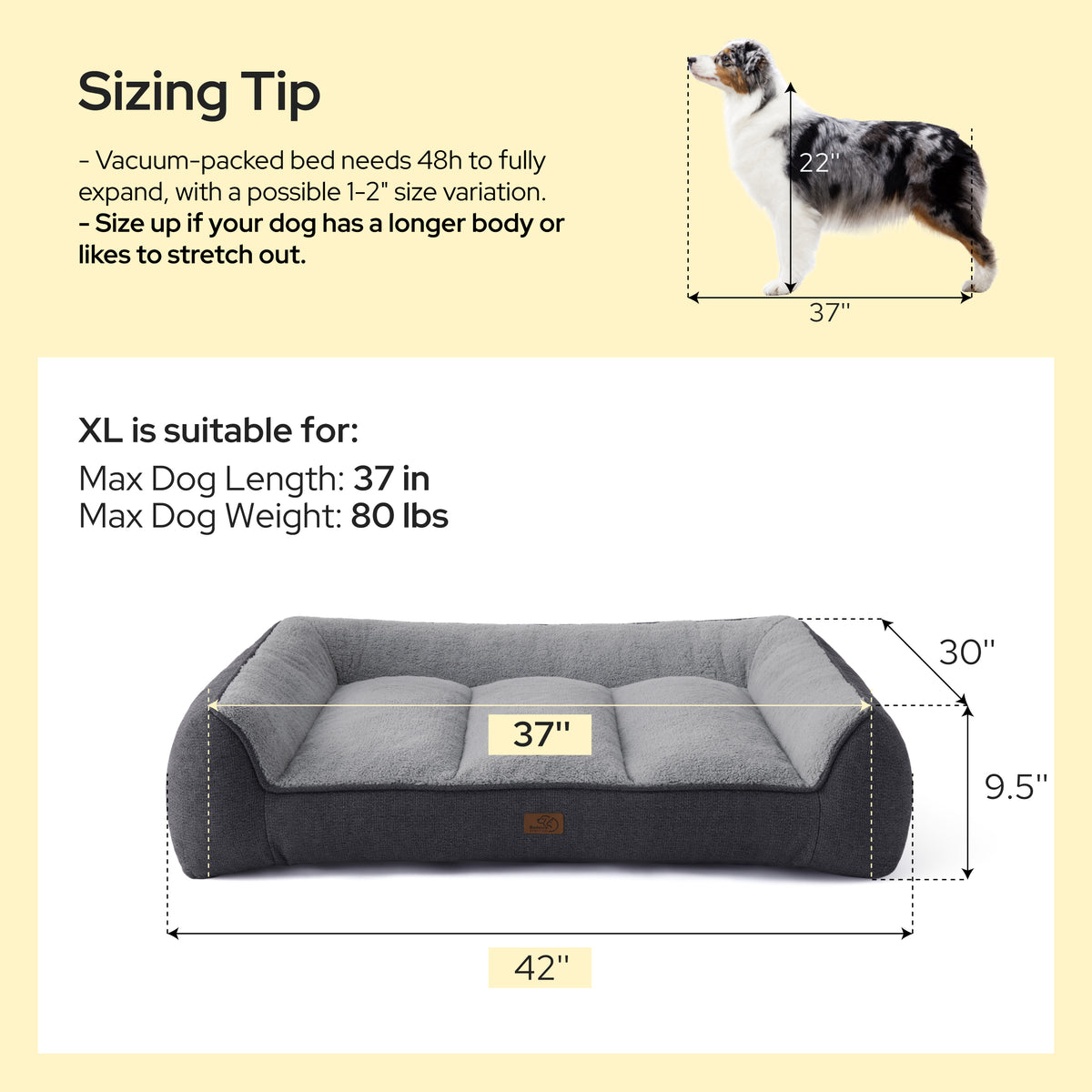 Supportive Dog Couch