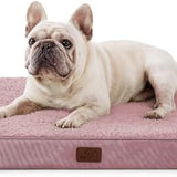 Large Orthopedic Washable Dog Bed S