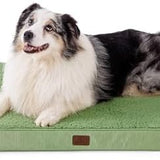 Large Orthopedic Washable Dog Bed S