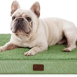 Large Orthopedic Washable Dog Bed S