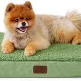 Large Orthopedic Washable Dog Bed S