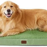 Large Orthopedic Washable Dog Bed S