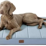 Large Orthopedic Washable Dog Bed Cooling