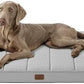 Egg Crate Foam Dog Bed