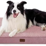 Large Orthopedic Washable Dog Bed S