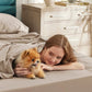 Cotton Percale Weave Sheet Set