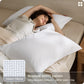 100% Organic Cotton Pillowcases