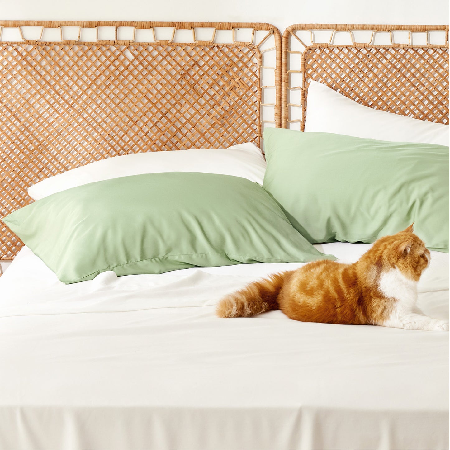Rayon Derived From Bamboo Pillowcases