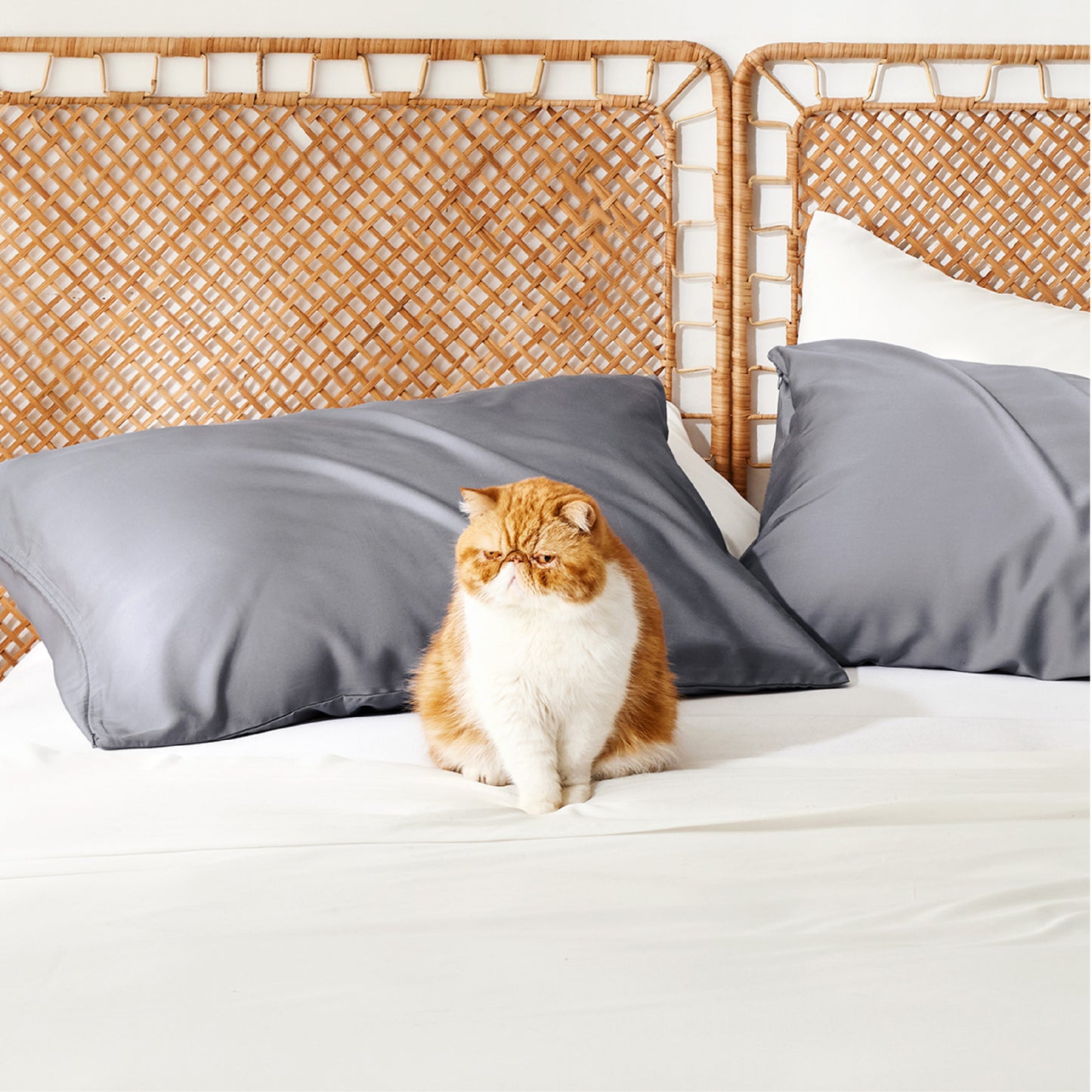 GentleSoft® Rayon Derived From Bamboo Pillowcases