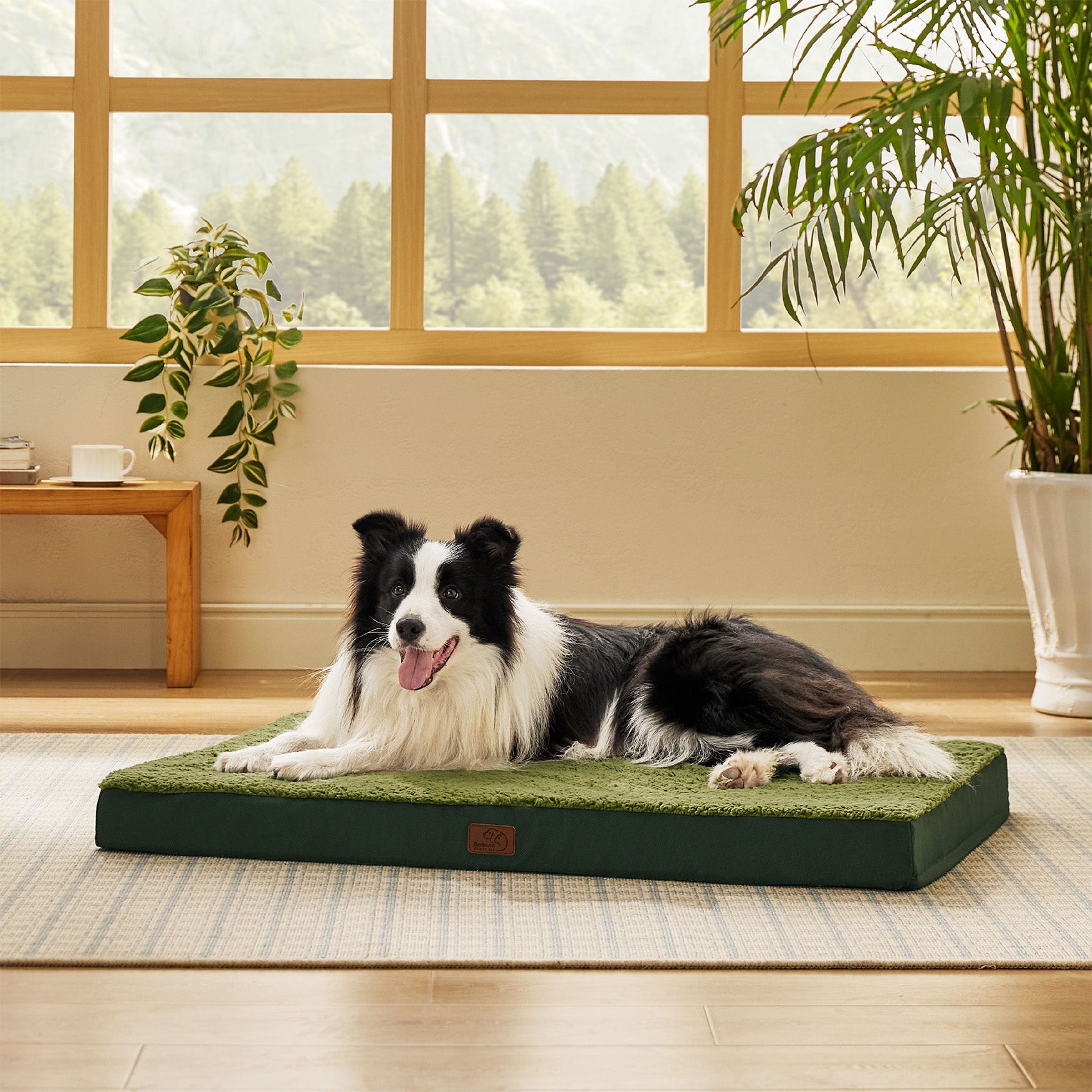 Large Orthopedic Washable Dog Bed