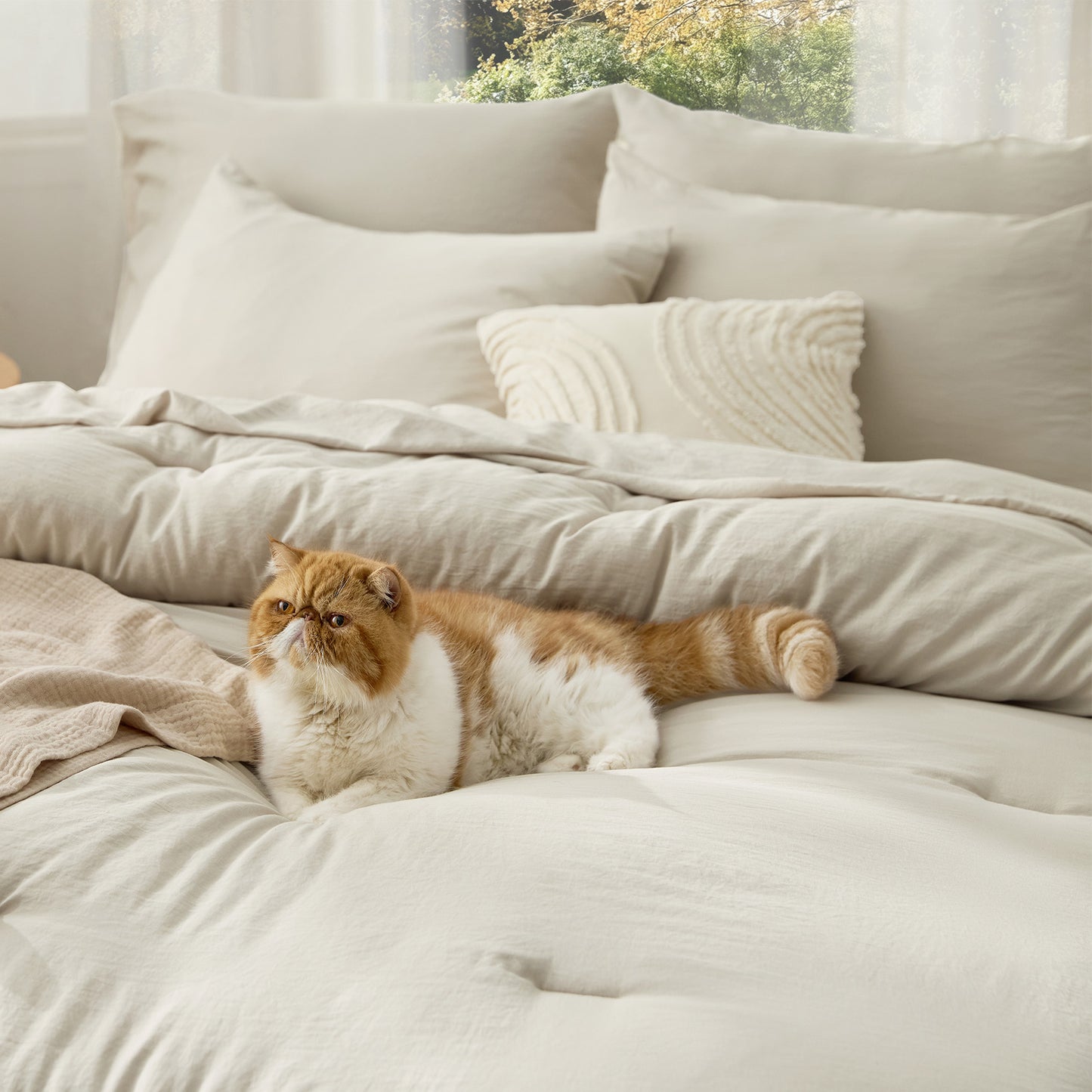 Prewashed Down Alternative Bed-in-a-bag