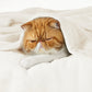 GentleSoft™ Flannel Fleece Blanket 280gsm