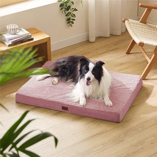 Large Orthopedic Washable Dog Bed