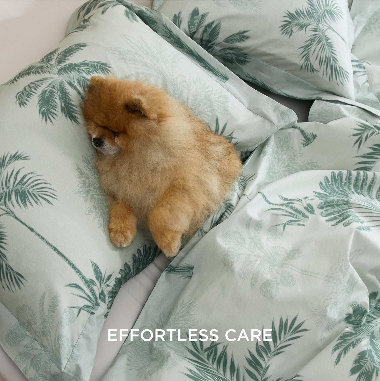 GentleSoft® 100% Cotton Patterned Duvet Cover Set