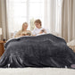 GentleSoft® Solid Flannel Heated Blanket