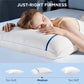 Diamond Pattern Pillows 2pk