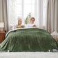 GentleSoft® Solid Flannel Heated Blanket