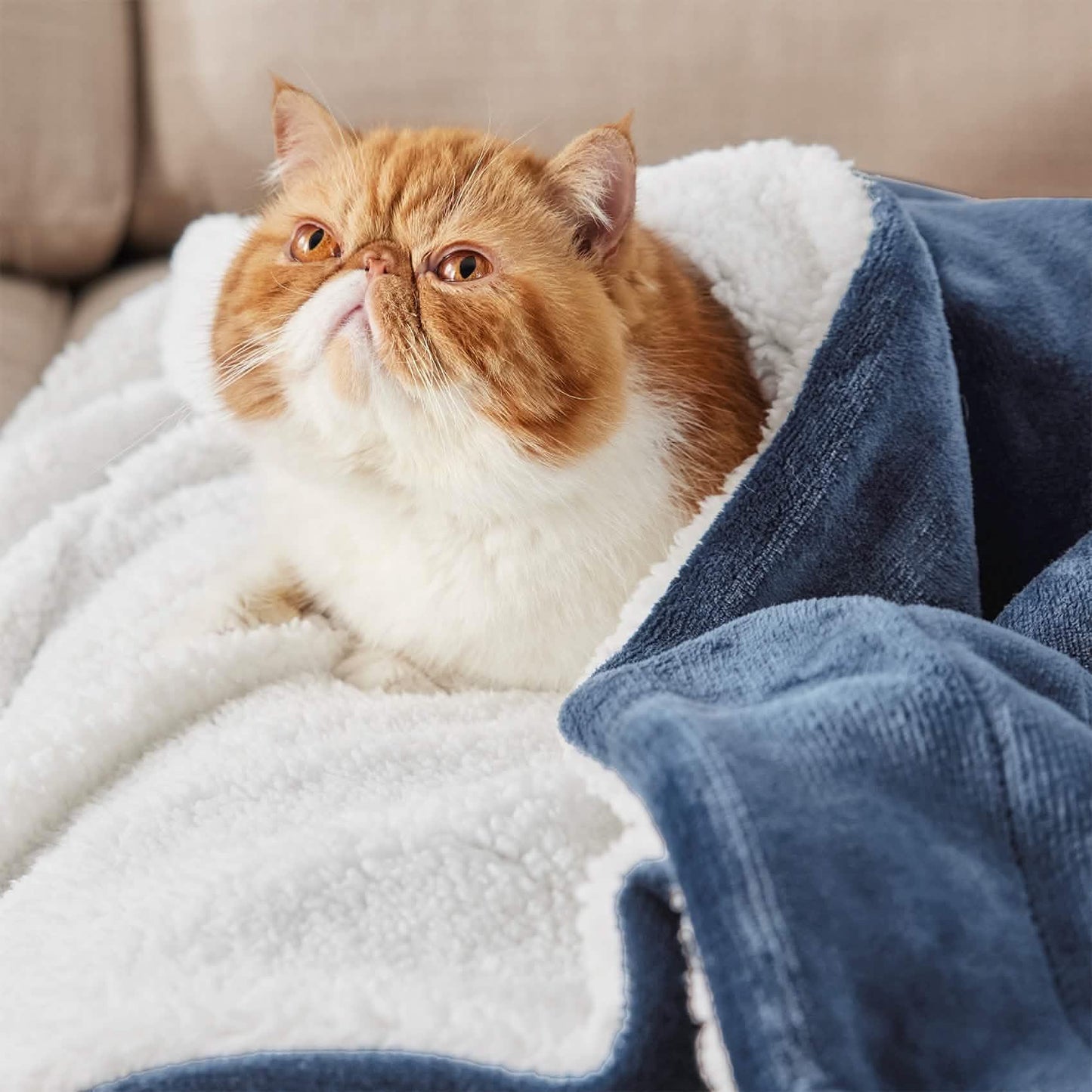 Sherpa Fleece Blanket