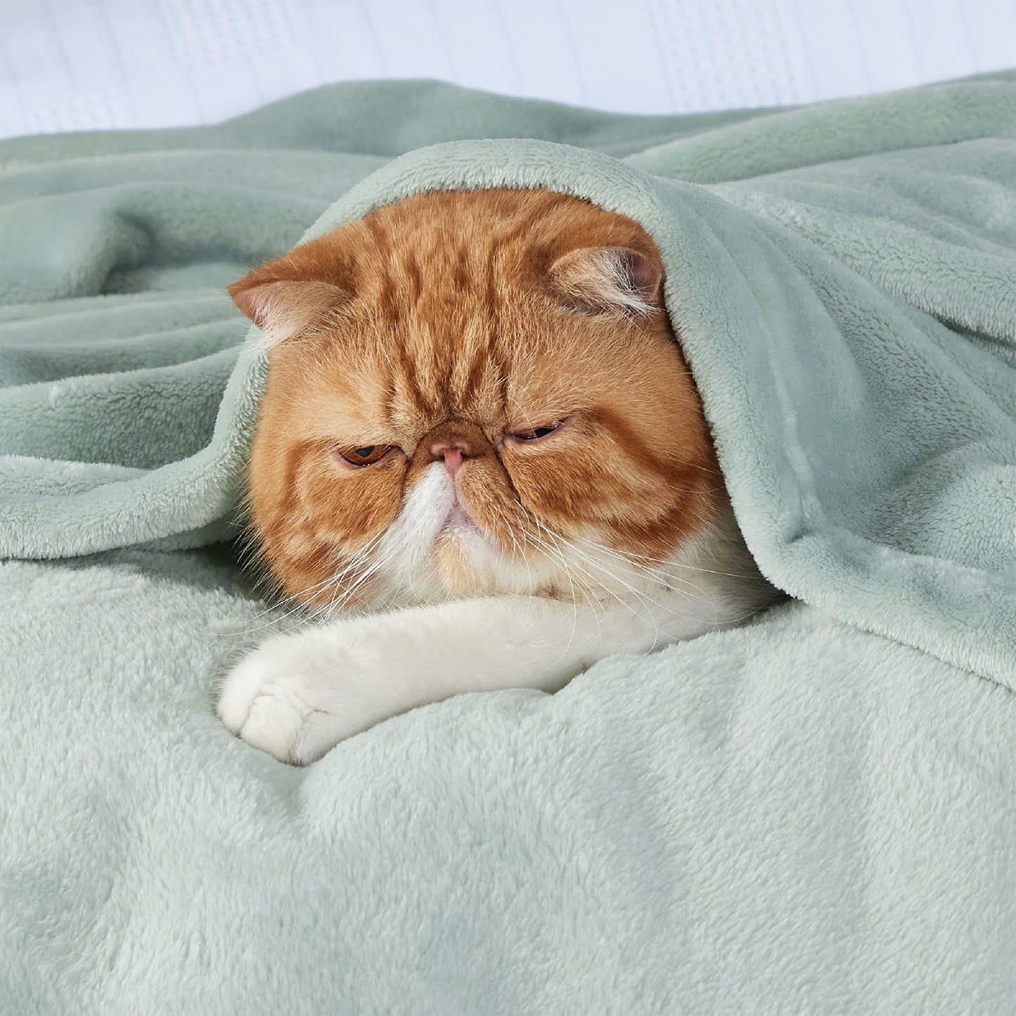GentleSoft™ Flannel Fleece Blanket 280gsm