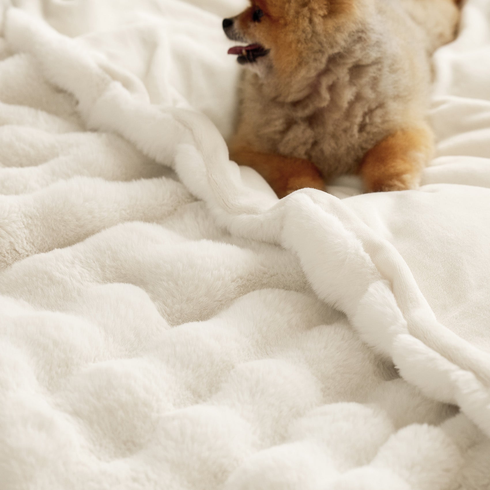 GentleSoft™ Bubble Faux Fur Blanket ( Cream )