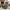 Christmas Gingerbread Green Sherpa Throw Blanket