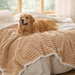 Corduroy Fleece Pet Blanket