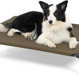 Elevated Dog Cot Bed with Breathable Mesh