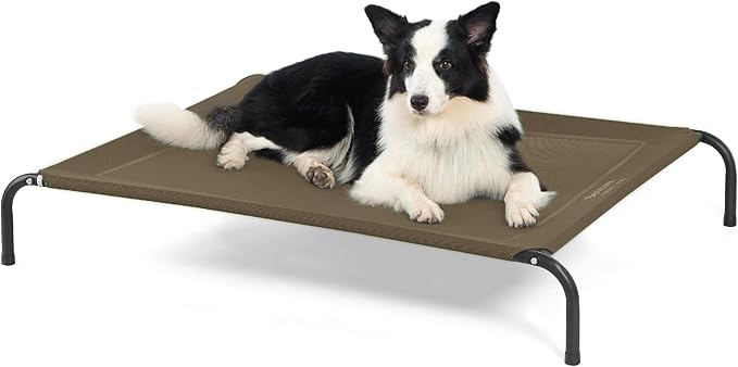 Elevated Dog Cot Bed with Breathable Mesh