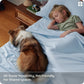 Rayon Derived from Bamboo Sheet Set