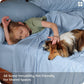 Rayon Derived from Bamboo Sheet Set