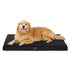 Large Orthopedic Washable Dog Bed