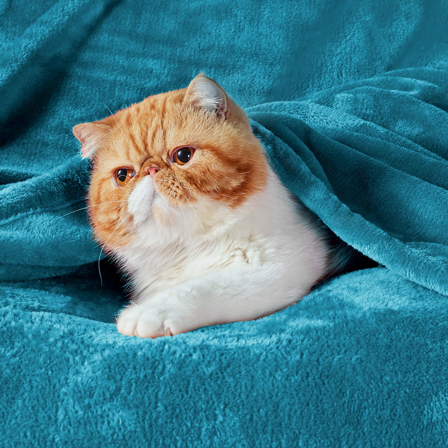 GentleSoft™ Flannel Fleece Blanket 280gsm
