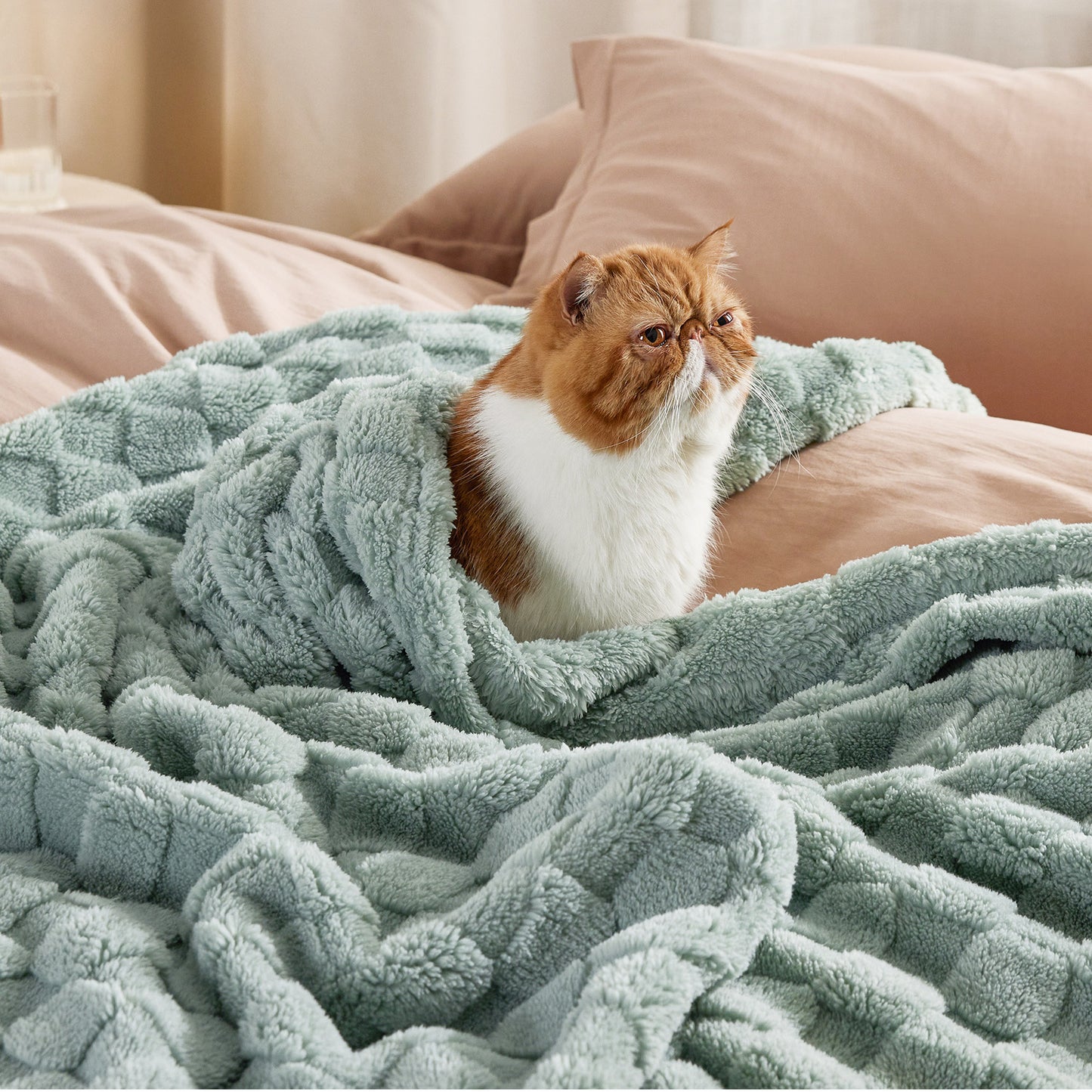 GentleSoft™ Jacquard Shaggy Sherpa Blanket