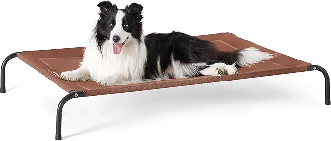 Elevated Dog Cot Bed with Breathable Mesh