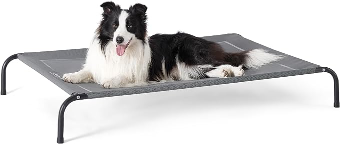 Elevated Dog Cot Bed with Breathable Mesh