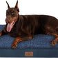 Large Orthopedic Washable Dog Bed