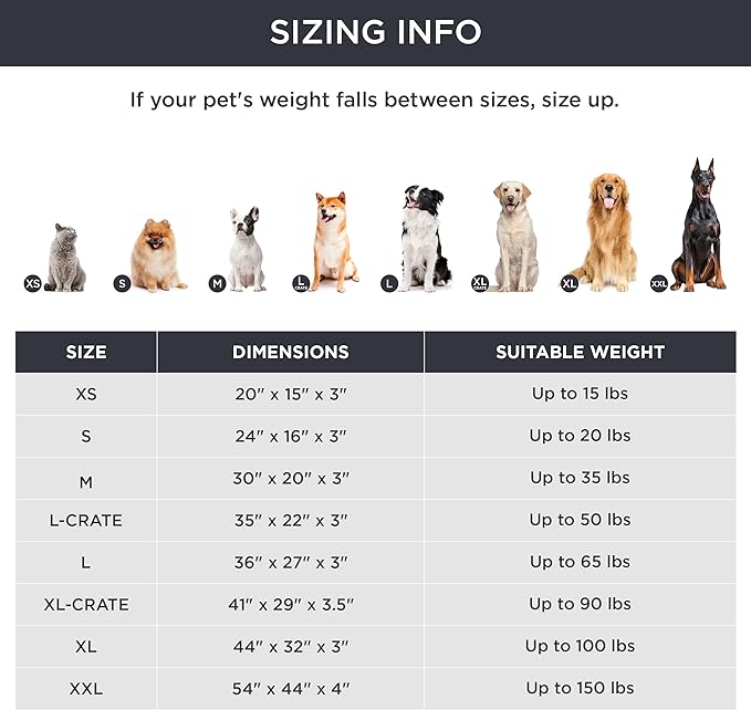 Large Orthopedic Washable Dog Bed