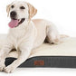 Large Orthopedic Washable Dog Bed